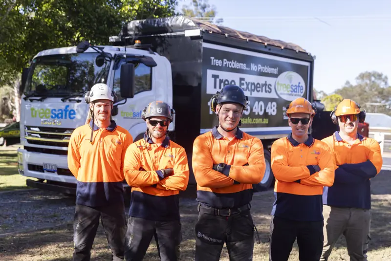 Tree Safe 0516 2100X1401 E36d1d3e D375 4479 97B0 1Ab0ce5a4926